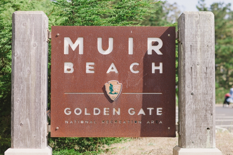 MUIR BEACH WEDDING