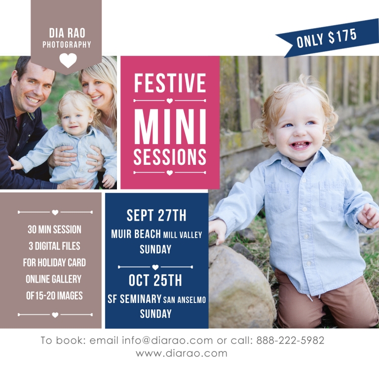 Marin Mini Sessions