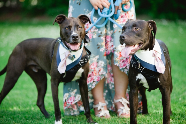 MARIN ART AND GARDEN WEDDING