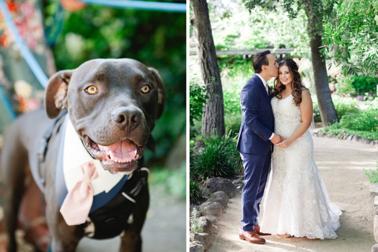 MARIN ART AND GARDEN WEDDING